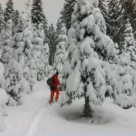 Konukevi Postl Steinhaus am Semmering