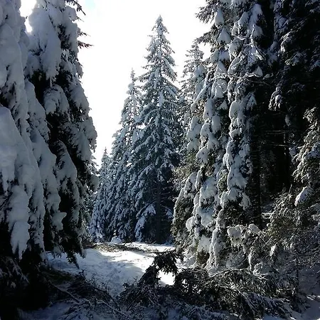 Konukevi Postl *
